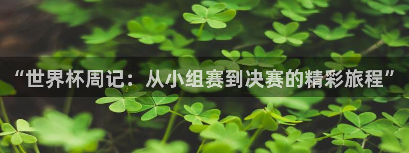 今年世界杯：“世界杯周记：从小组赛到决赛的精彩旅程”