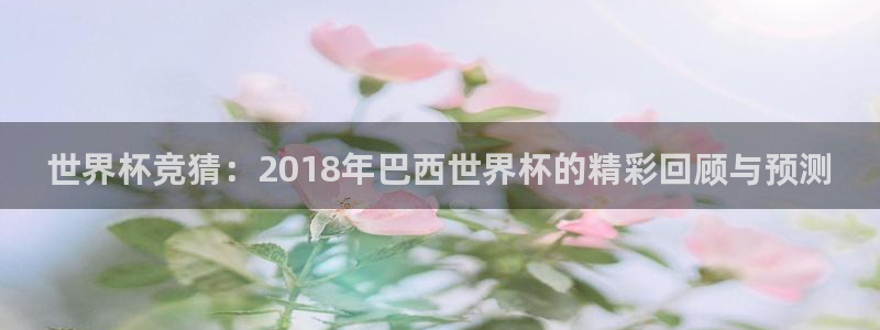 2026世预赛全部赛程：世界杯竞猜：2018年巴西世界杯的精彩回顾与预测