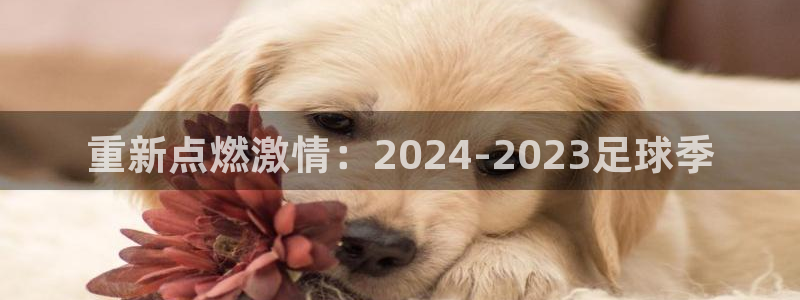 2026世界杯：重新点燃激情：2024-2023足球季