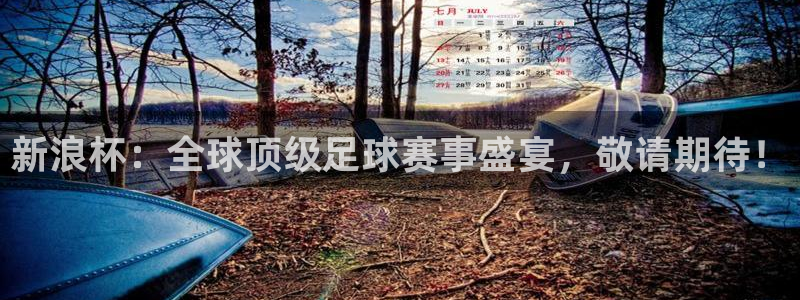 足球世界杯2026：新浪杯：全球顶级足球赛事盛宴，敬请期待！