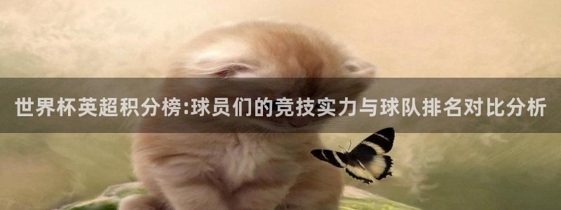 世界杯预选赛欧洲赛区赛程：世界杯英超积分榜:球员们的竞技实力与球队排名对比分析