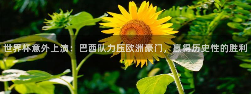 世界杯2026赛制：世界杯意外上演：巴西队力压欧洲豪门，赢得历史性的胜利