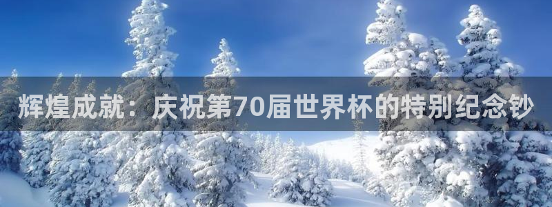 2026世界杯官网：辉煌成就：庆祝第70届世界杯的特别纪念钞