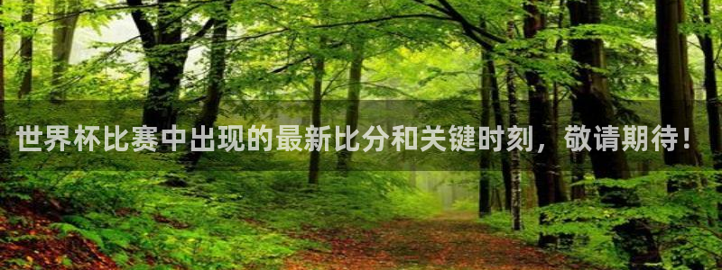 世界杯直播网站：世界杯比赛中出现的最新比分和关键时刻，敬请期待！