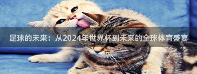 世界杯足球赛：足球的未来：从2024年世界杯到未来的全球体育盛宴