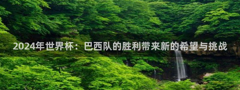 世界杯直播在线观看入口：2024年世界杯：巴西队的胜利带来新的希望与挑战
