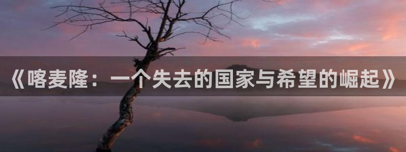 2026 世界杯：《喀麦隆：一个失去的国家与希望的崛起》