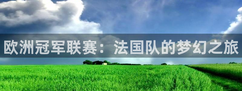 世界杯赛程表：欧洲冠军联赛：法国队的梦幻之旅